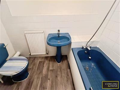 Picture 10